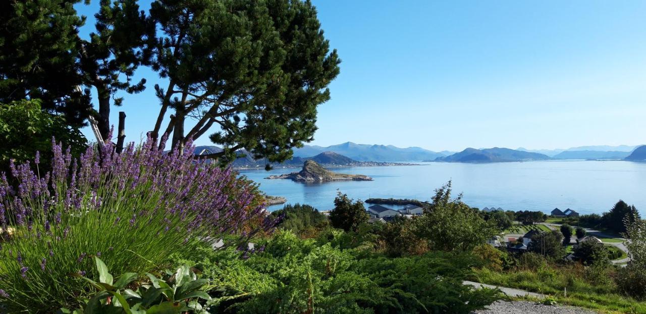 Relaxing Place On Godoya Esterno foto